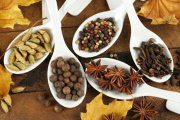 Different spices in spoons with yellow leaves