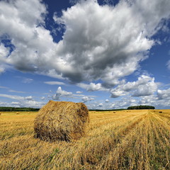 Krajobraz wiejski, po żniwach © janmiko