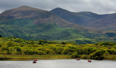 Irlandia, krajobraz wiejski © janmiko