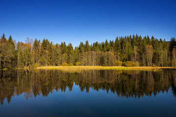 Fototapeta na wymiar autumn landscape - lake and autumnal forest