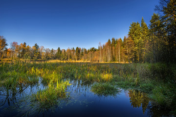 Fototapeta premium autumn landscape - lake and autumnal forest