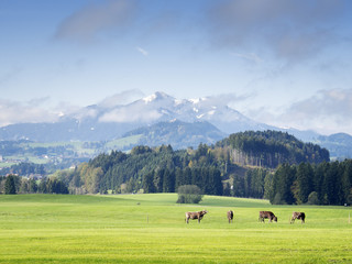 Mountains in Bavaria