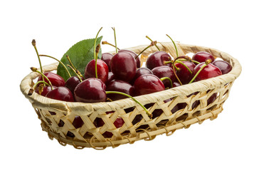 Gean - cherry