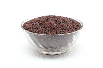 black mustard seeds isolated on white background