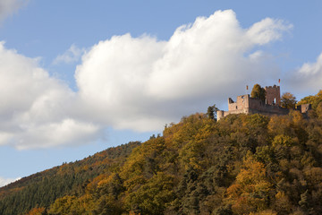 Burg Landeck