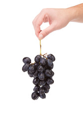 Black grapes in hand.