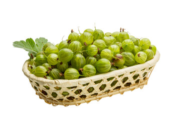 Gooseberry