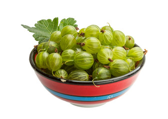 Gooseberry