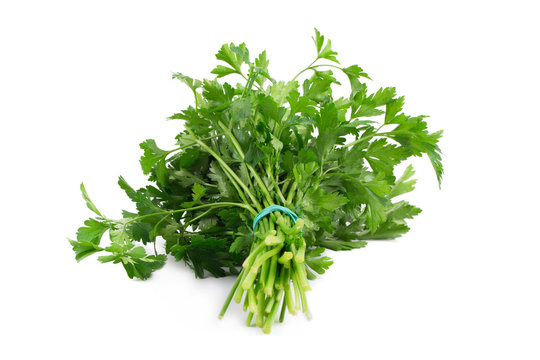 Bunch of parsley on a white.