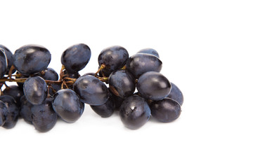 Black ripe grapes.