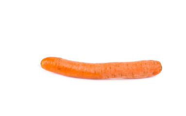 Fresh carrot.