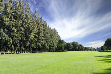 Fototapeta premium Green golf field