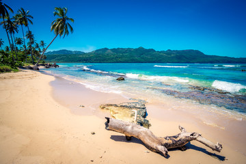Deserted trunk on Playa Rincon beach in Dominican Republic