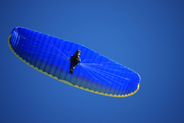paraglider