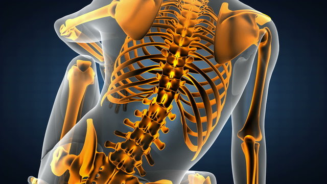 human bones radiographic scan. medical footage