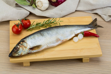 Salted herring