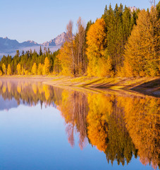 Autumn in Grand Teton