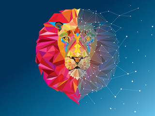 Fototapeta premium Lion head in geometric pattern with star line vector