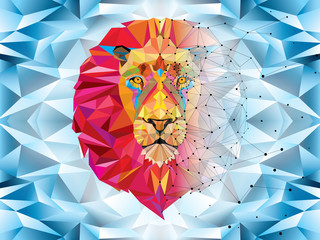 Fototapeta premium Lion head in geometric pattern with star line vector