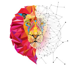 Naklejka premium Głowa lwa w geometryczny wzór z wektorem linii gwiazdy