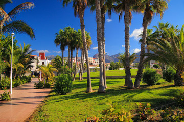Fototapeta premium travel, vacation in the Canary Islands