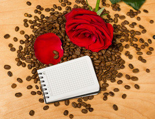 red rose and notebook on coffee seeds and wooden background