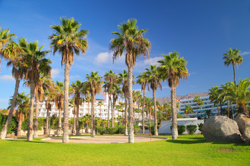 Fototapeta premium travel, vacation in the Canary Islands