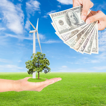 hand holding wind turbine with tree and US Dollars banknote