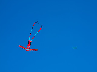 Colorful Kites Flying in Cloudless Blue Sky