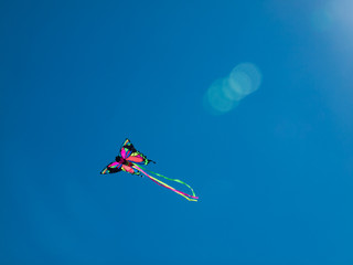 Colorful Kites Flying in Cloudless Blue Sky
