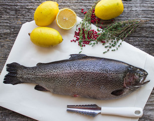 rainbow trout for baking