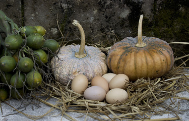 pumpkin and eggs