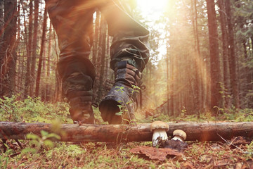 feet in shoes autumn forest hike