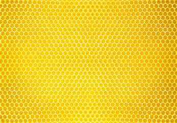 natural honey comb background or texture