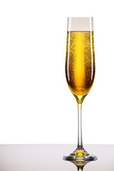 luxury glass of champagne
