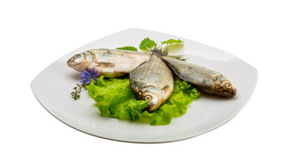 Crucian fish