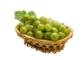 Gooseberry