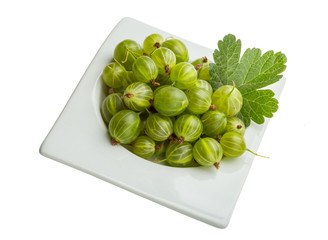 Gooseberry