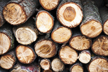 Pila de madera