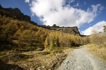 Fototapeta na wymiar Autunno in Val d'Ayas