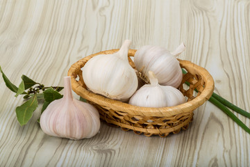 Garlic
