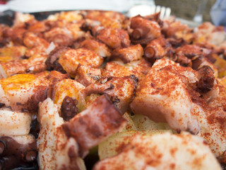 closeup Galician octopus with paprika and potatoes