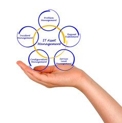 IT Asset Management