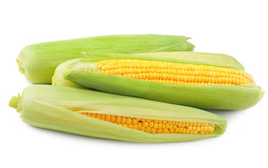 fresh raw corn on white background. isolated