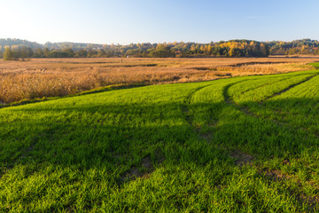green field landscape