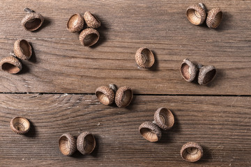 Acorn cupule on wooden desk