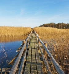 Wooden path.