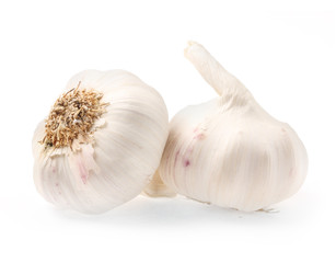 The Garlic (Allium sativum)
