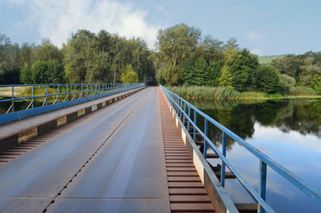 Fototapeta na wymiar Железный мост через реку Северский Донец, дубовая роща