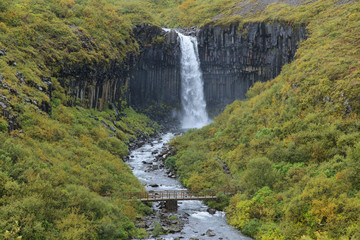 Fototapeta na wymiar Svartifoss waterfall